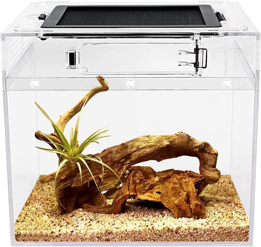mini Reptile Terrarium,8″ x 8″x 8″ Reptile Tank with Full View Visually Appealing，for Insect，Fish，Tarantula，Hermit Crab，Jumping Spider，Iguana，Tortoise，Leopard Gecko，Frog，Bearded Dragon