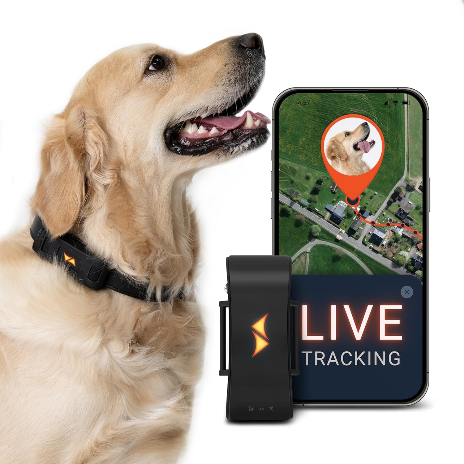 PAJ GPS Dog Tracker – 4G Real-Time Tracking & Runaway Alerts – Waterproof, Long-Range, Smart App Monitor Health & Activity – Fits Any Collar, Mini Device Navigator Chip – Subscription Required – Black
